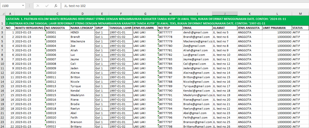 Screenshot Excel Migration Sheet Member